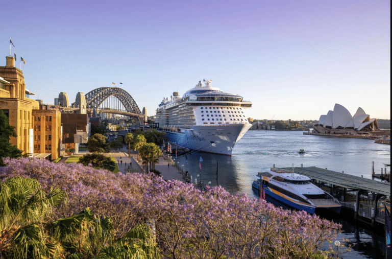 All Aboard! Accessible Cruising Adventures with Wanderable Make For The Perfect Vacation!