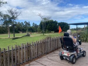 accessible Australia Zoo mobility scooter Sunshine Coast wheelchair travel
